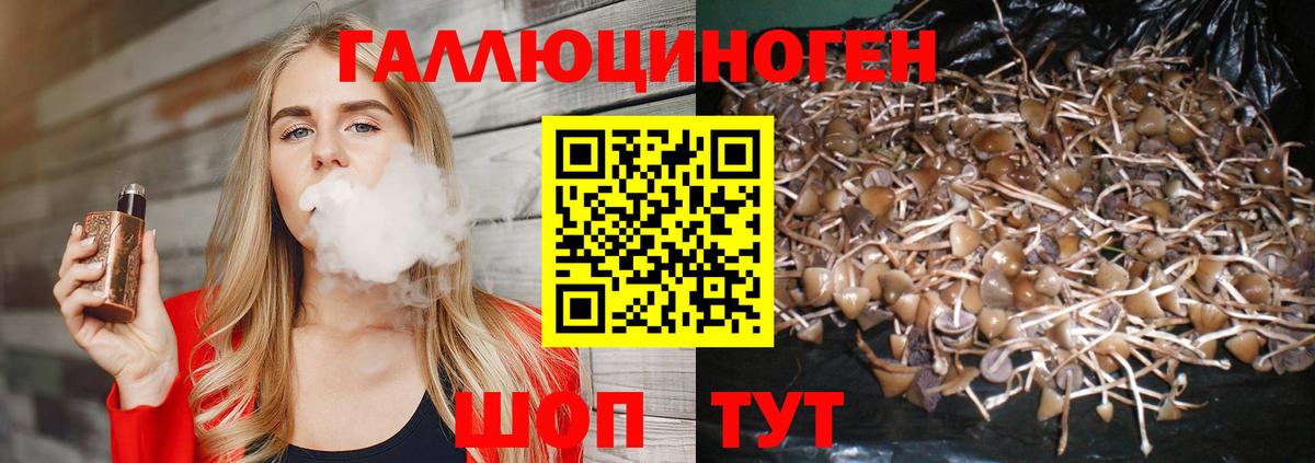 Галлюциногенные грибы MAGIC MUSHROOMS Славянск-на-Кубани