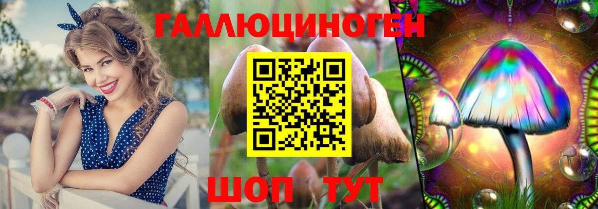 Галлюциногенные грибы GOLDEN TEACHER  Вход с VPN  Славянск-на-Кубани  Псилоцибиновые грибы Magic Shrooms 